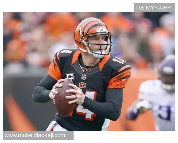 武汉足球队在精英赛中的比赛经验与表现深度分析