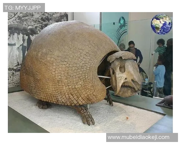 灰熊栖息地保护与生态平衡的重要性探讨及其未来生存挑战